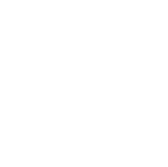WAVE News logo
